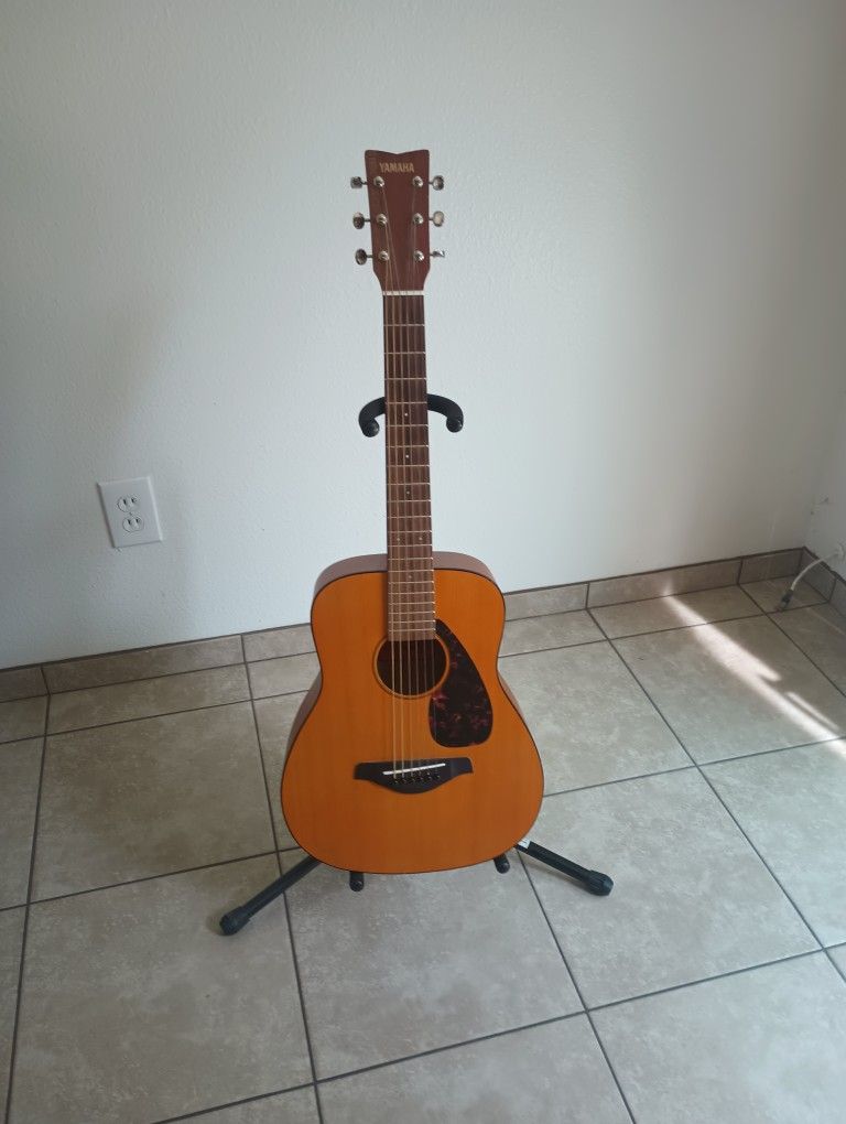 Acoustic Guitar