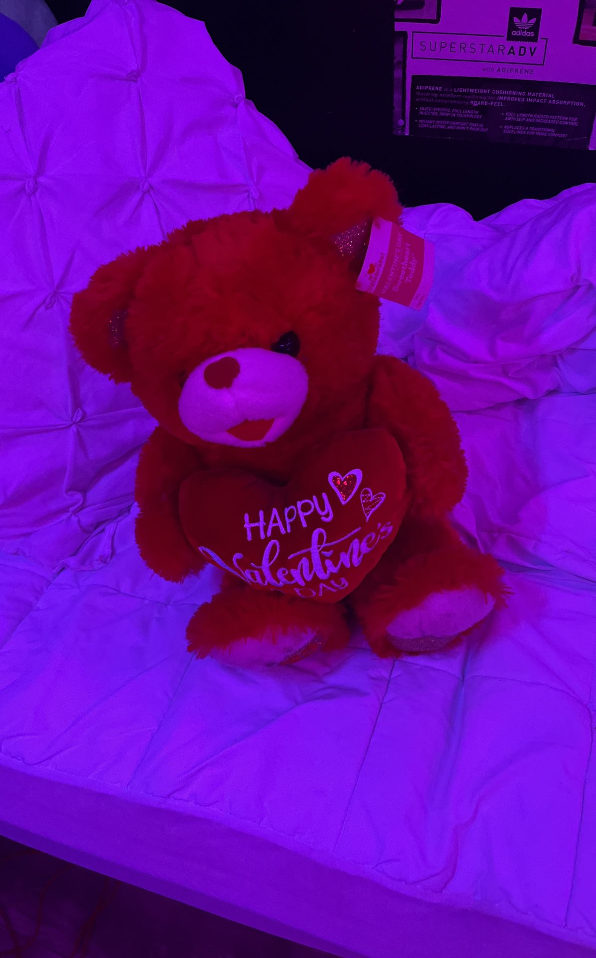 Red Teddy Bear