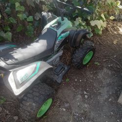 Electric Atv Powerwheel