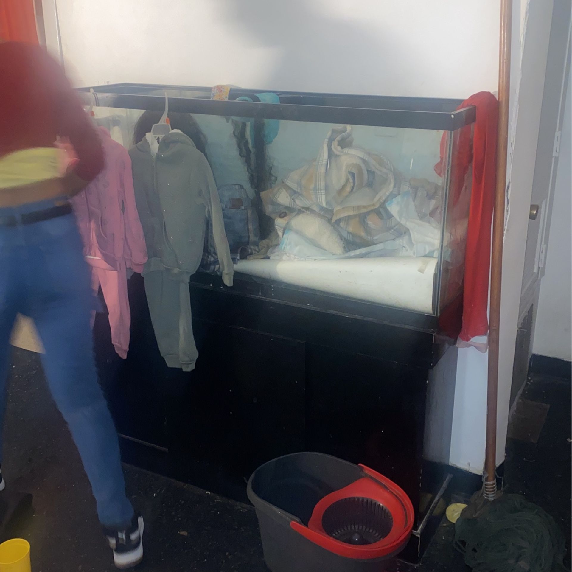 Fish Tank