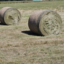 DRY ROUND BALES