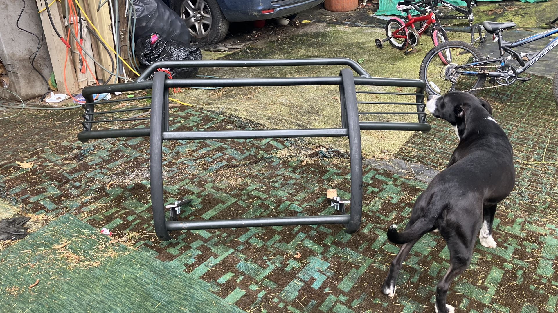 Guard bar