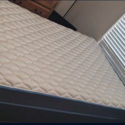 Full Size Mattress and Box Spring