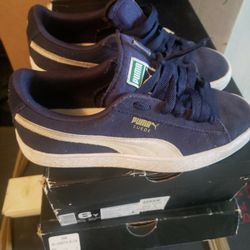 Pumas 5.5Y