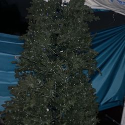 Big Christmas Tree$65