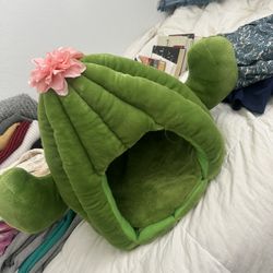 Cactus Cat House