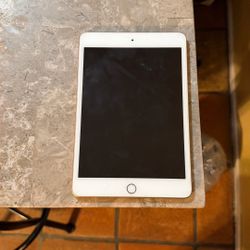 iPad Mini 5 Unlocked 