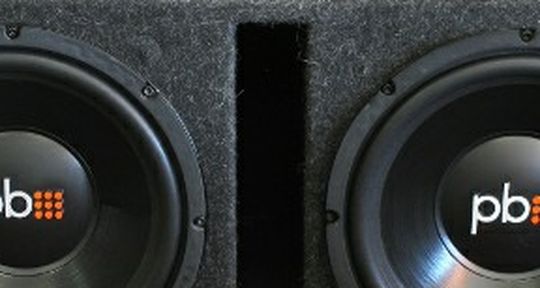 PB 12 Inch Subwoofers W/ Box