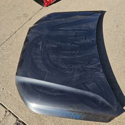 Hyundai Palisade Hood Oem
