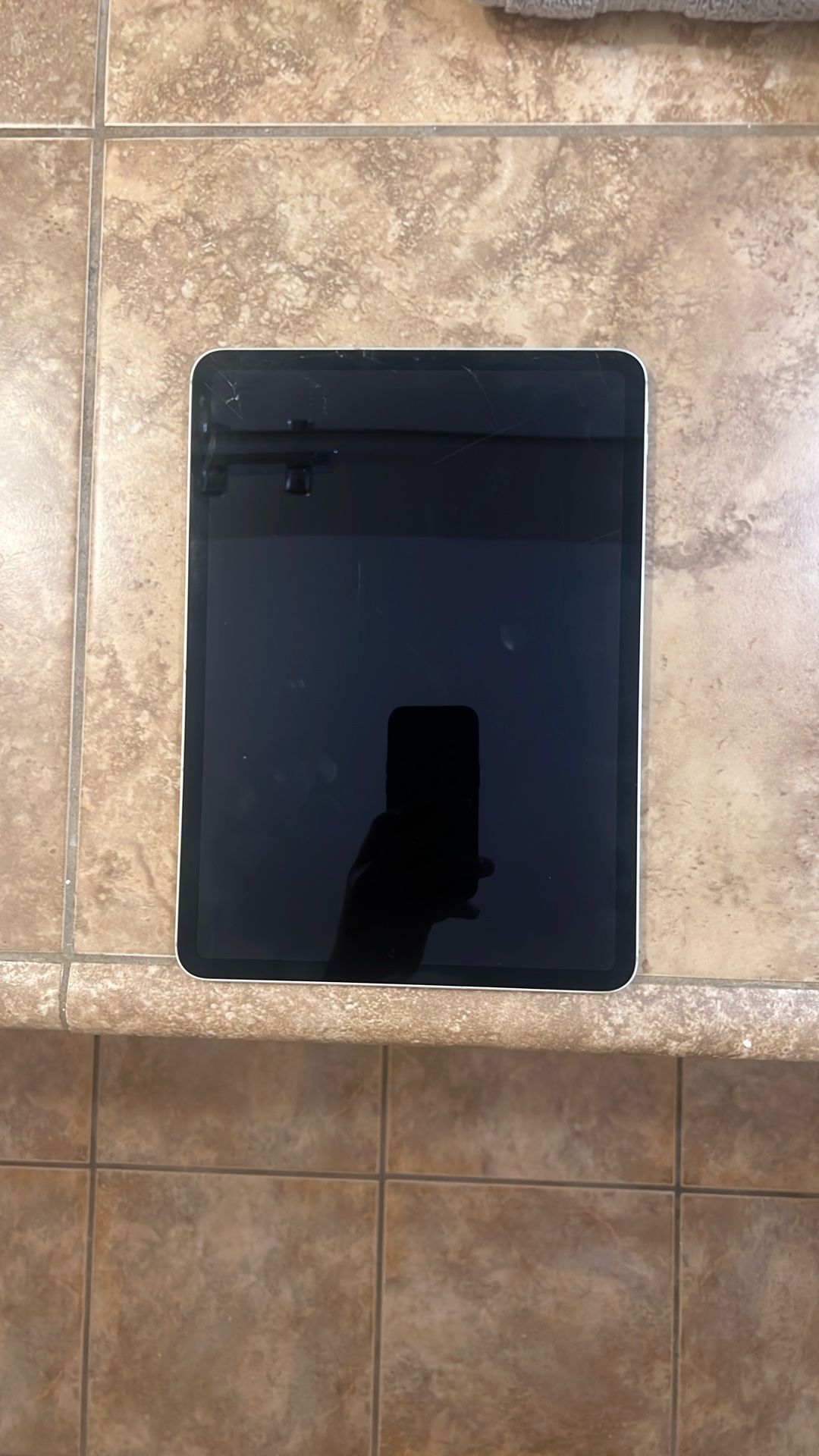 Ipad Pro 4th Gen (water Damage)
