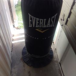 Punching Bag (Everlast)