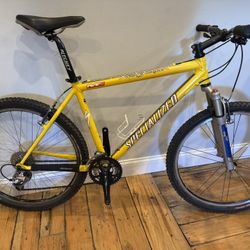 Specialized Stumpjumper Mountain Bike