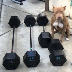 Barbells And Dumbbells