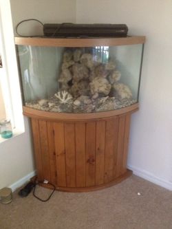 54 gallon wood grain aquarium with corner overflow, real wood stand, Bio filter