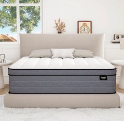 Queen12”  mattress only. Couple of months old.