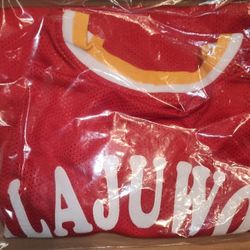 Hakeem Olajuwon Signed Autograph Custom Jersey Authenticated 