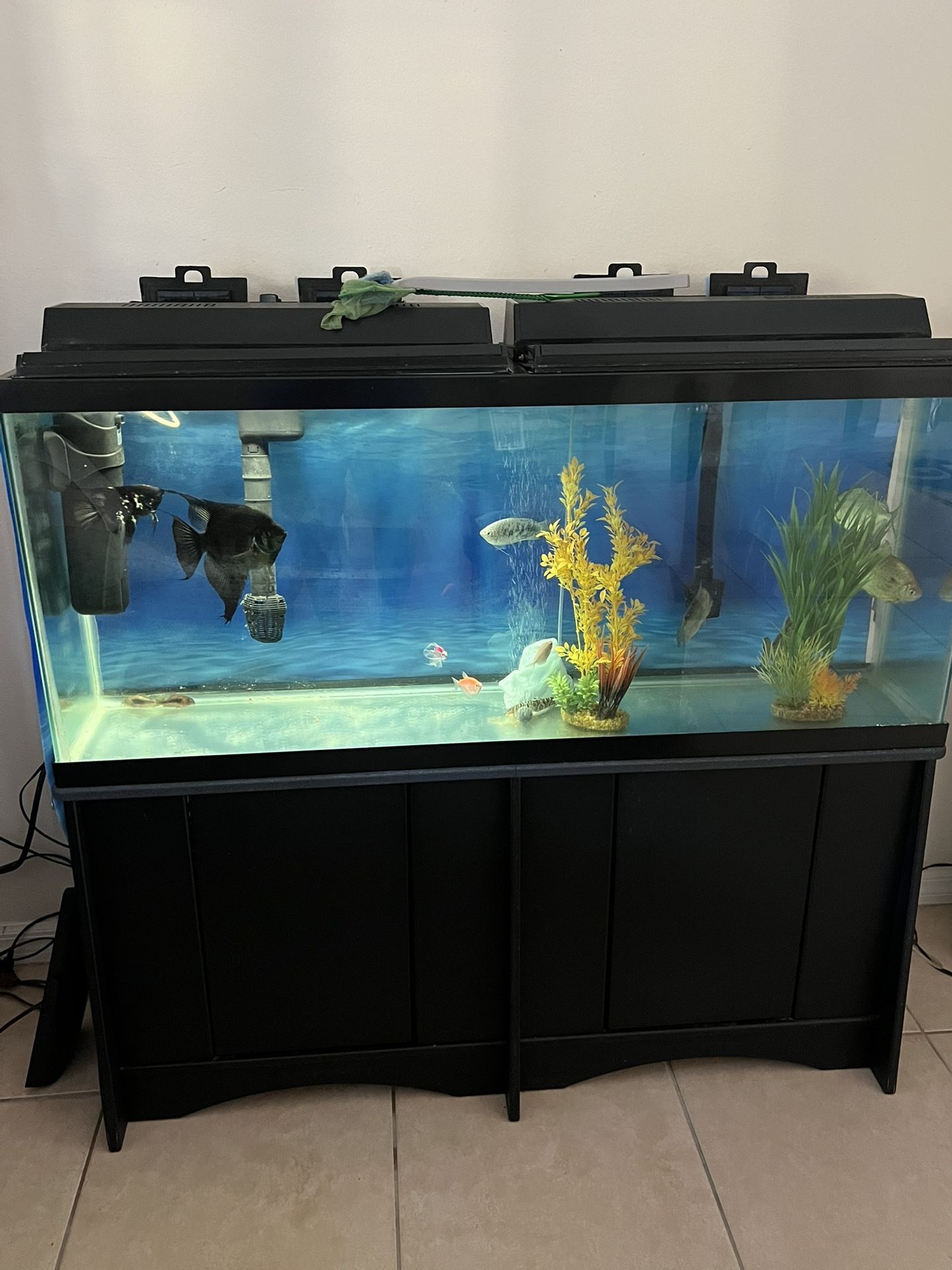 Fish Tank & Cabinet(black)