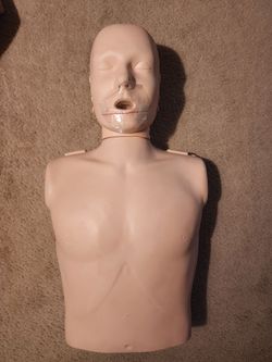 CPR Training Manikin Torso