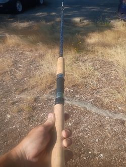 New catfish Rod