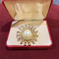 Never Use Sun Shape Brooch