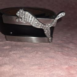 Puma belt