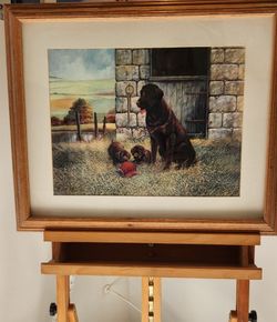 Chocolate Lab dog Picture - R. Manning