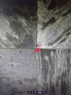 MSI Ostrich Grey Slate 12x12 Tiles $20 Per Case