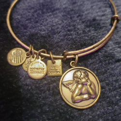 Alex And Ani Angel Charm Bangle