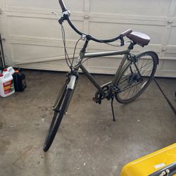  Electra Bike for Sale (Frame Size Large) 
