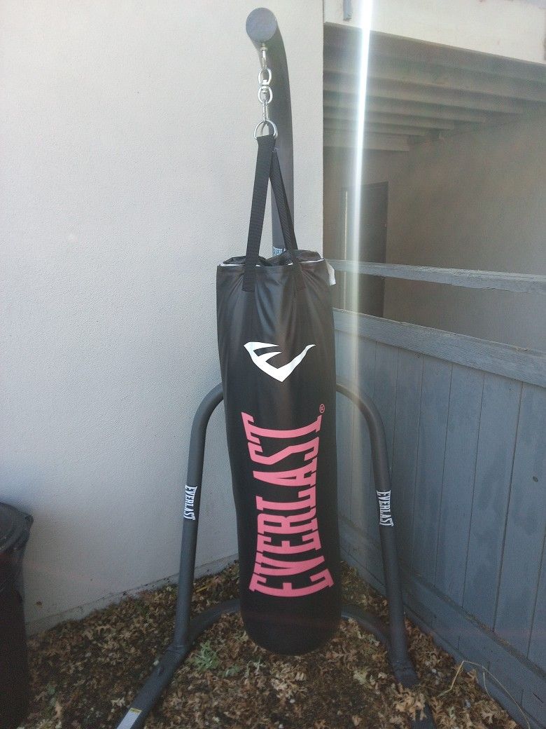Everlast Punching Bag 100 Pounds With 1pair Of Everlast Gloves