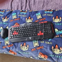 Gaming   Keyboard  And Mouse  For Starters 
