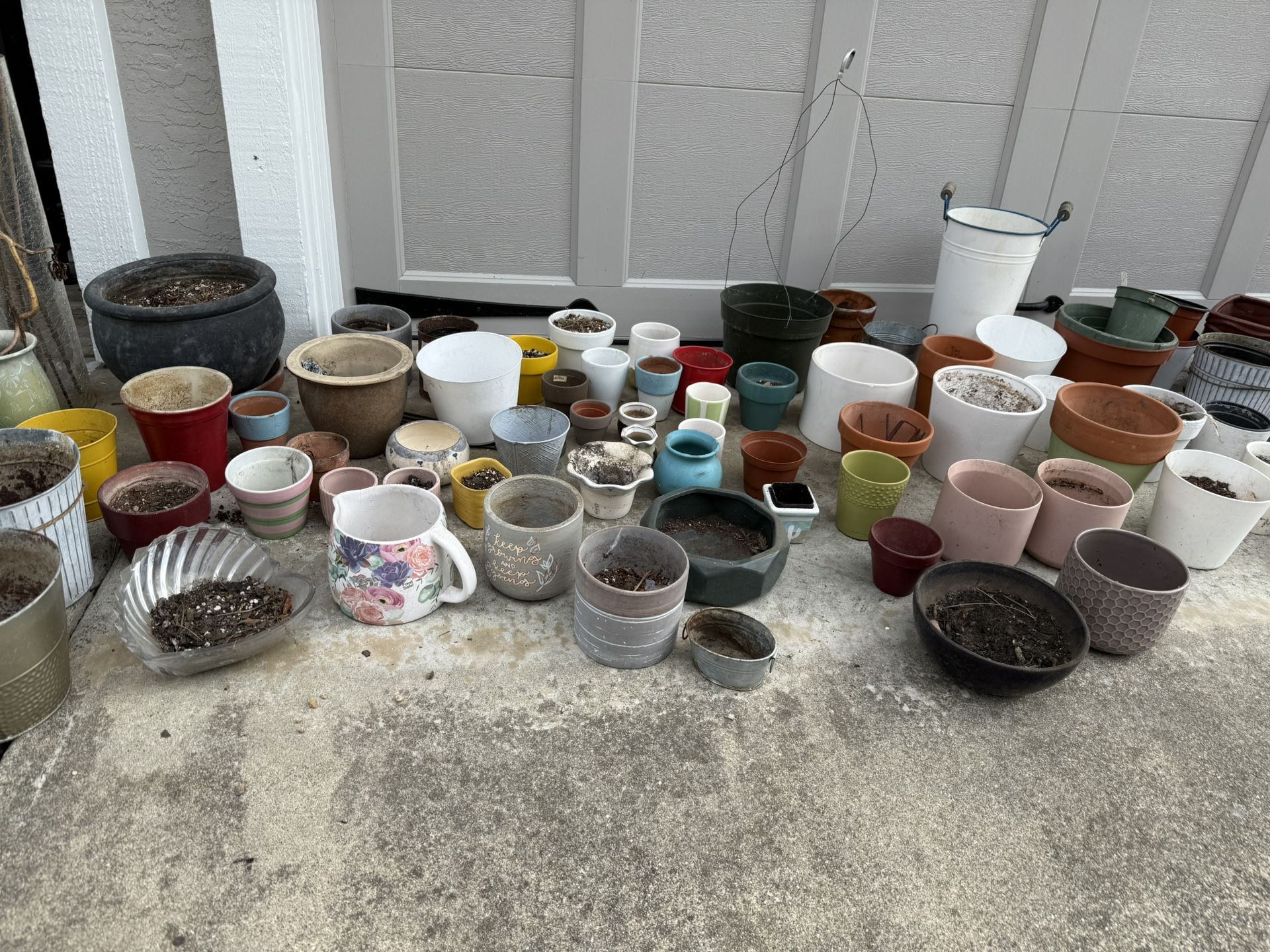 Assorted Plant Pots Collection