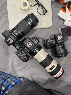 Canon Eos R 30.3 Megapixel