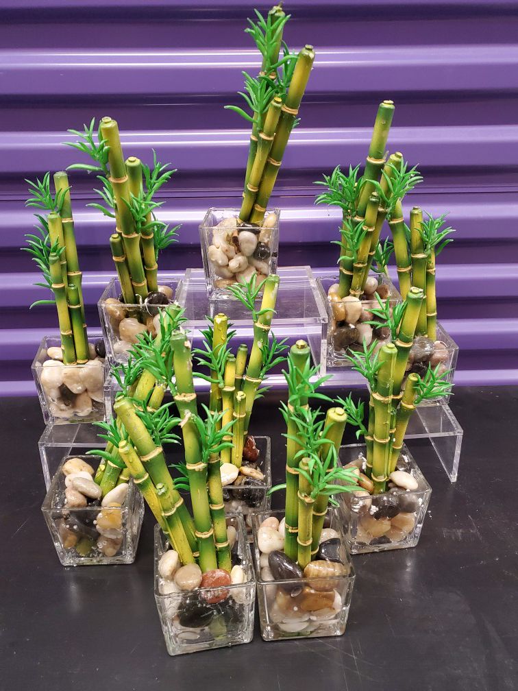 Artificial lucky bamboo indoor plants straight stems; 3 "to 4" tall
