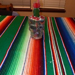 Succulent Grafted Cactus