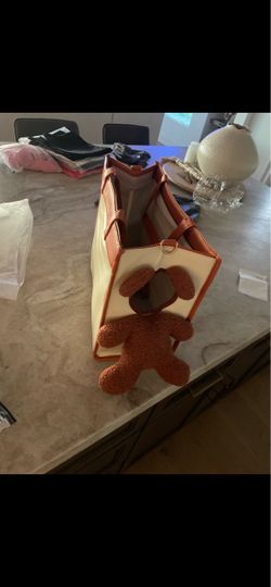 Cute pet carrier tote with teddy bear