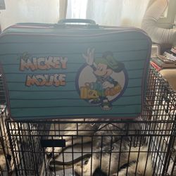 Mickey Mouse Luggage