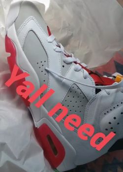 Hare 6s
