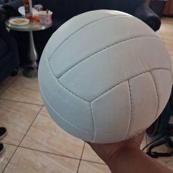 Volleyball