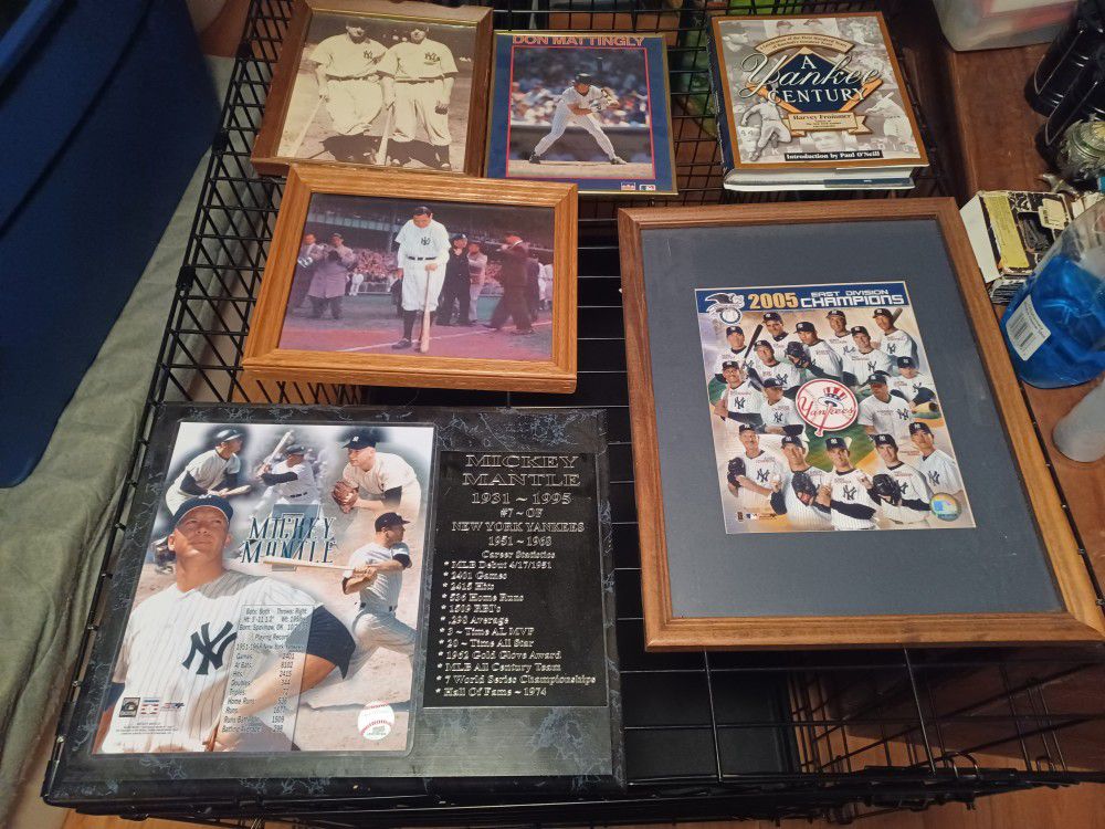 Yankees Collection 