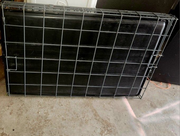 Dog Kennel
