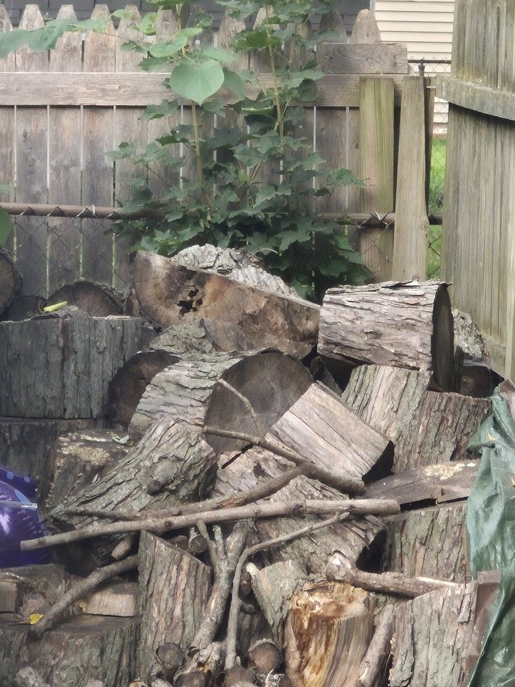 Free Wood