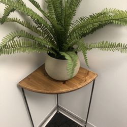Faux Plant