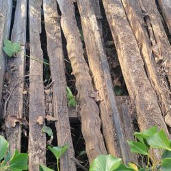 Redwood Grape Stake Fencing