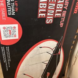 Table Tennis 