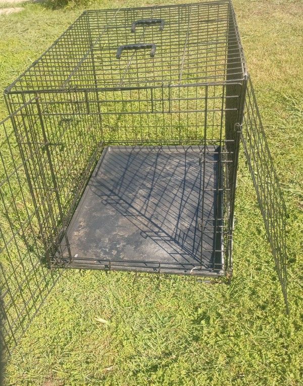 Foldable Dog Crate 36" X 24" 