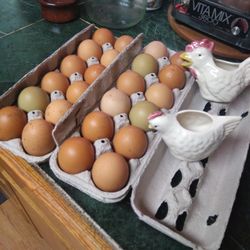 Jumbo Eggs Organic