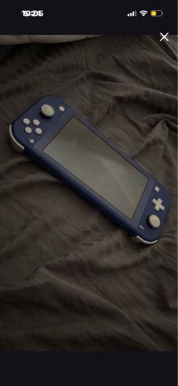 Switch lite