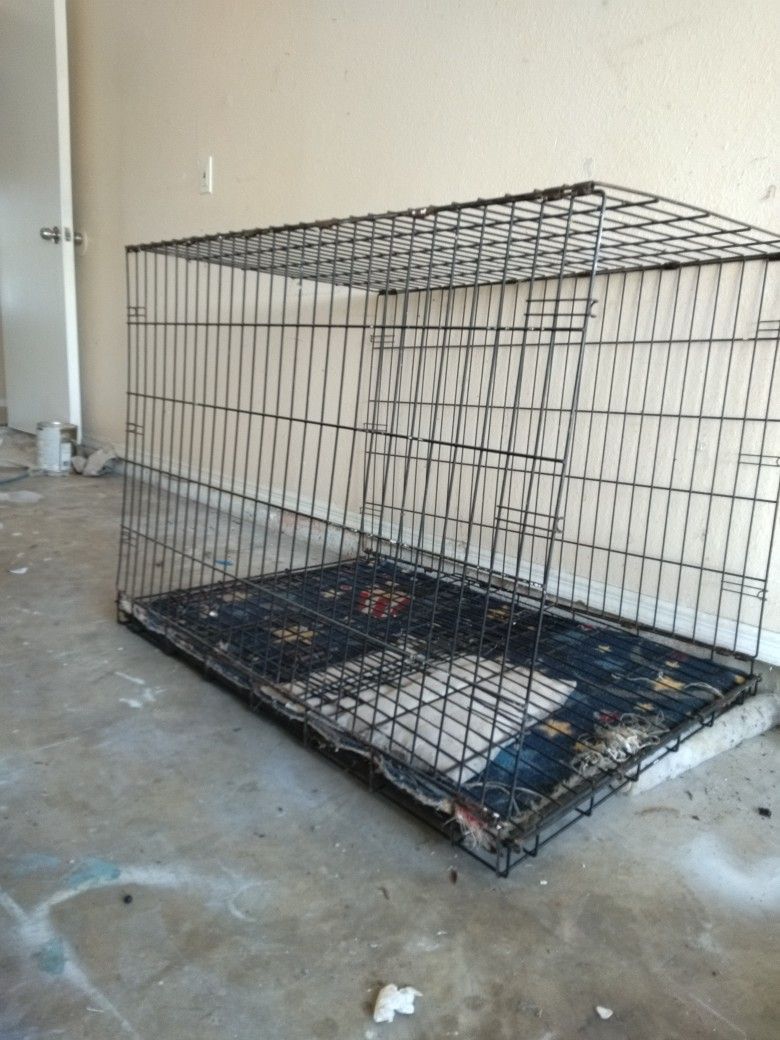 Big Dog Cage