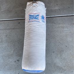 Punching Bag, 1984 Olympics